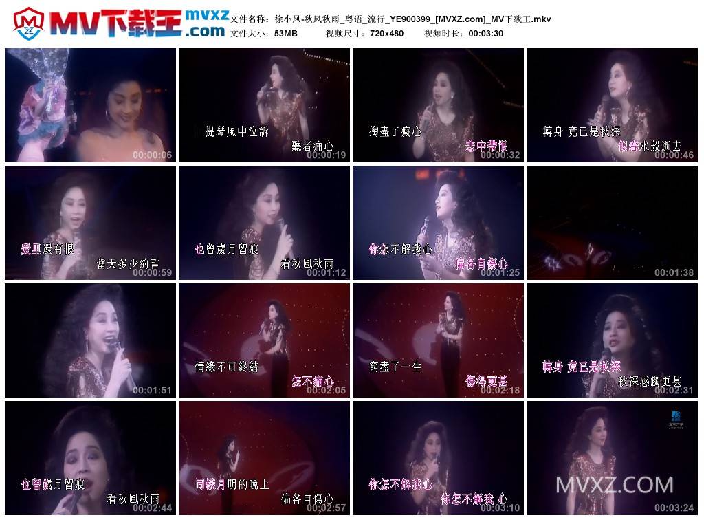 徐小凤-秋风秋雨_粤语_流行_YE900399